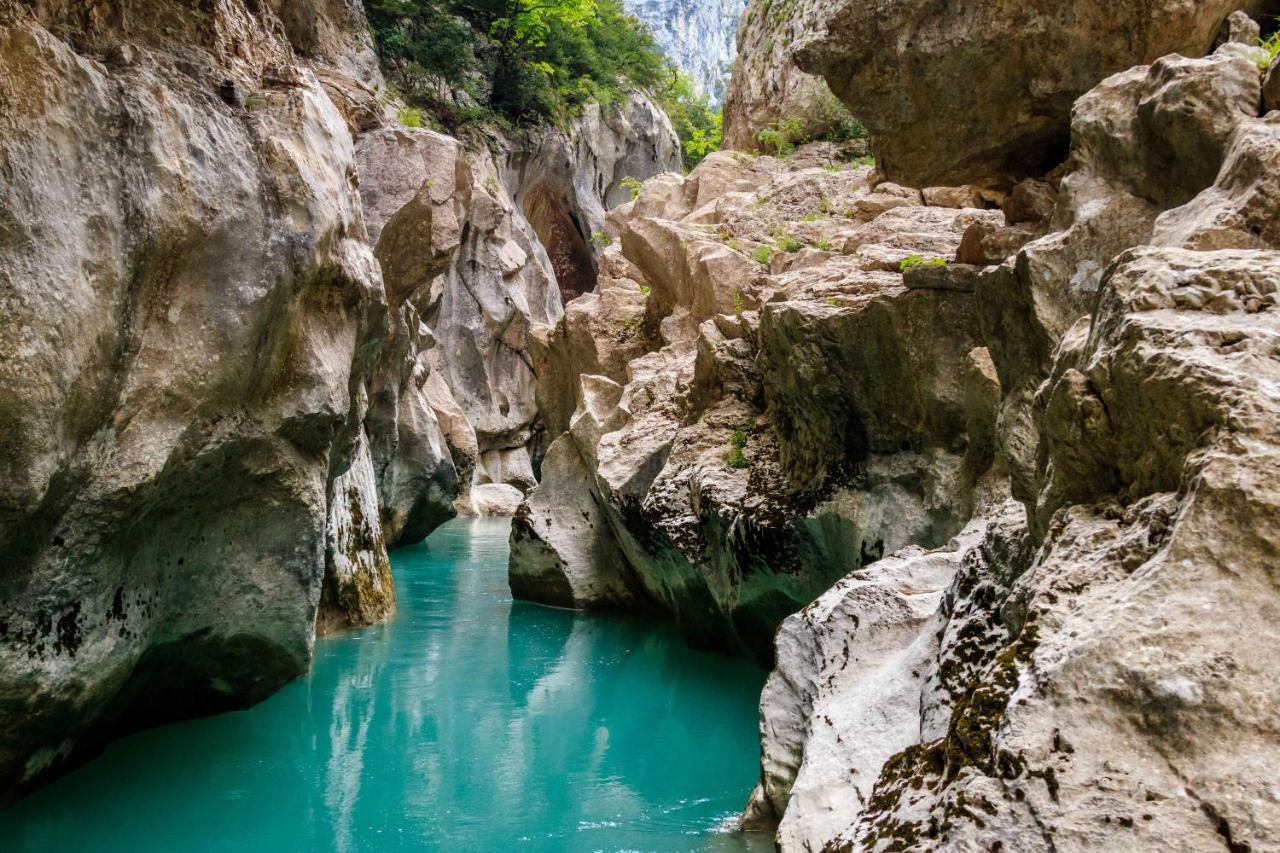 Gite De La Truffiere "Les Chenes" Montagnac  Zewnętrze zdjęcie